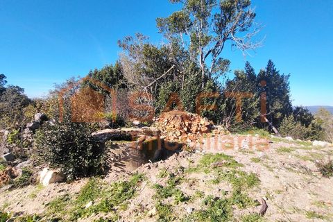Helårsgrund i Ansiao, Leiria, Ansiao - € 31.300 | Ref: 8306 - foto 8