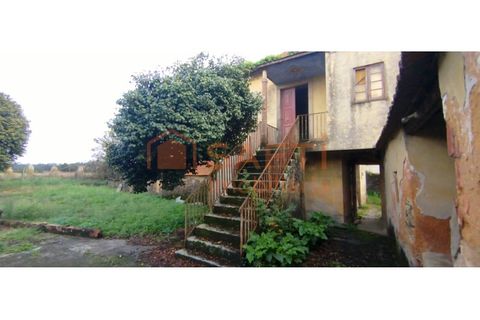 Ruinere i Estarreja, Aveiro, Estarreja - € 148.000 | Ref: SAFTI:007419 - foto 8
