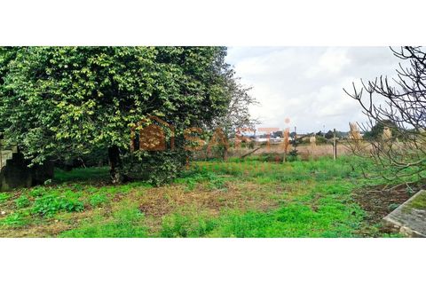 Ruinere i Estarreja, Aveiro, Estarreja - € 148.000 | Ref: SAFTI:007419 - foto 24