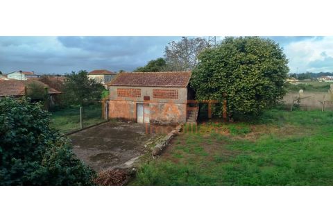 Ruinere i Estarreja, Aveiro, Estarreja - € 148.000 | Ref: SAFTI:007419 - foto 3