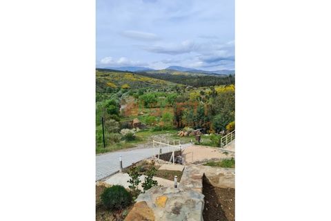 Farm i Barco e Coutada, Castelo Branco, Barco e Coutada - € 2.980.000 | Ref: SAFTI:007443 - foto 13