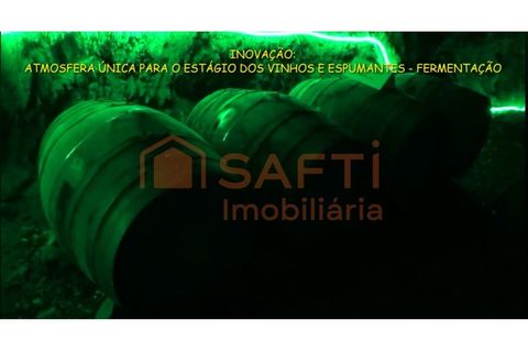 Farm i Barco e Coutada, Castelo Branco, Barco e Coutada - € 2.980.000 | Ref: SAFTI:007443 - foto 17