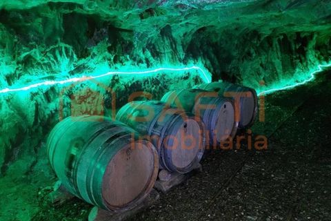 Farm i Barco e Coutada, Castelo Branco, Barco e Coutada - € 2.980.000 | Ref: SAFTI:007443 - foto 20