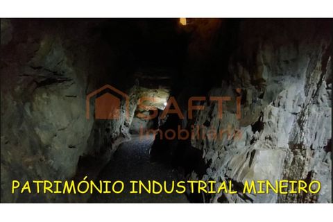 Farm i Barco e Coutada, Castelo Branco, Barco e Coutada - € 2.980.000 | Ref: SAFTI:007443 - foto 24