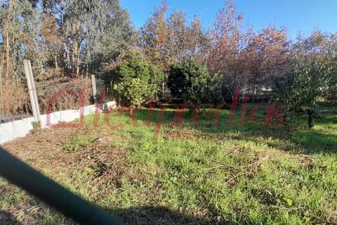 Helårsgrund i Agueda, Aveiro, Agueda - € 40.000 | Ref: AG 3090 - foto 2