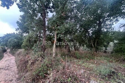 Helårsgrund i Tomar, Santarem, Tomar - € 39.000 | Ref: 01826-25 - foto 4
