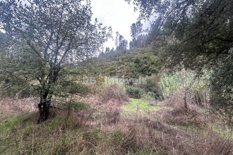 Helårsgrund i Tomar, Santarem, Tomar - € 39.000 | Ref: 01826-25 - foto 7