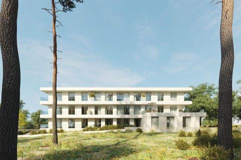 Helårsgrund i Amarante, Porto, Amarante - € 347.000 | Ref: 761491 - foto 10
