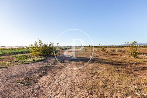 Villa i Foios, Valencia, Foios - € 460.000 | Ref: VV2511074 - foto 25