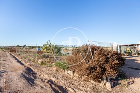 Villa i Foios, Valencia, Foios - € 460.000 | Ref: VV2511074 - foto 26