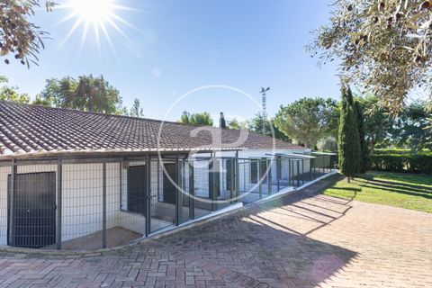 Villa i Betera, Valencia, Betera - € 1.500.000 | Ref: VV2511072 - foto 43