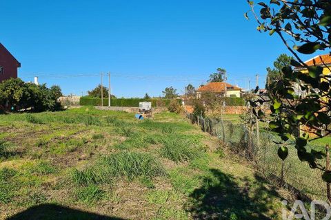 Helårsgrund i Torres Vedras, Lisbon, Torres Vedras - € 92.500 | Ref: 762872 - foto 7