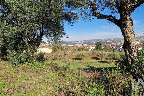 Tomt i Batalha, Leiria, Batalha - € 82 000 | Ref: 763059 - foto 5