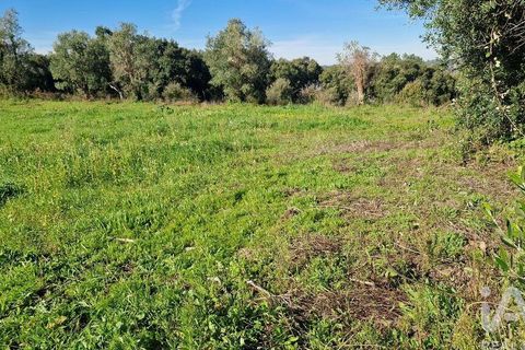 Tomt i Batalha, Leiria, Batalha - € 82 000 | Ref: 763059 - foto 6