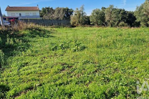 Tomt i Batalha, Leiria, Batalha - € 82 000 | Ref: 763059 - foto 7