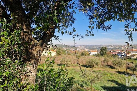 Tomt i Batalha, Leiria, Batalha - € 82 000 | Ref: 763059 - foto 8
