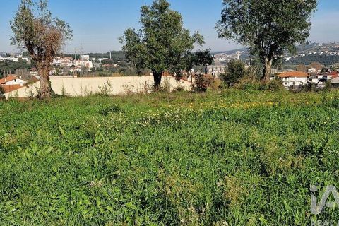 Tomt i Batalha, Leiria, Batalha - € 82 000 | Ref: 763059 - foto 9