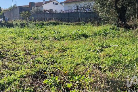 Tomt i Batalha, Leiria, Batalha - € 82 000 | Ref: 763059 - foto 10