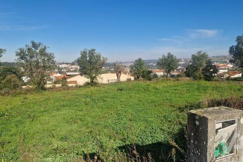 Tomt i Batalha, Leiria, Batalha - € 82 000 | Ref: 763059 - foto 11