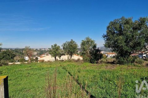 Tomt i Batalha, Leiria, Batalha - € 82 000 | Ref: 763059 - foto 12