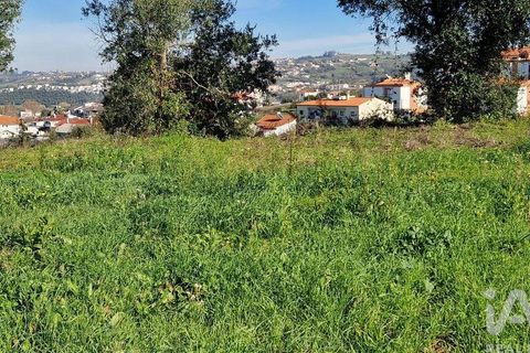 Tomt i Batalha, Leiria, Batalha - € 82 000 | Ref: 763059 - foto 14