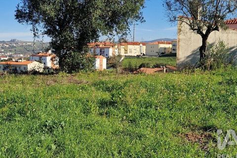 Tomt i Batalha, Leiria, Batalha - € 82 000 | Ref: 763059 - foto 15