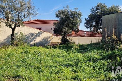 Tomt i Batalha, Leiria, Batalha - € 82 000 | Ref: 763059 - foto 16