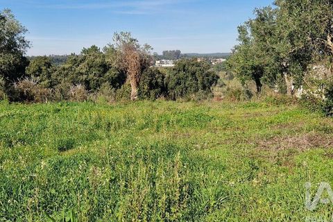 Tomt i Batalha, Leiria, Batalha - € 82 000 | Ref: 763059 - foto 18
