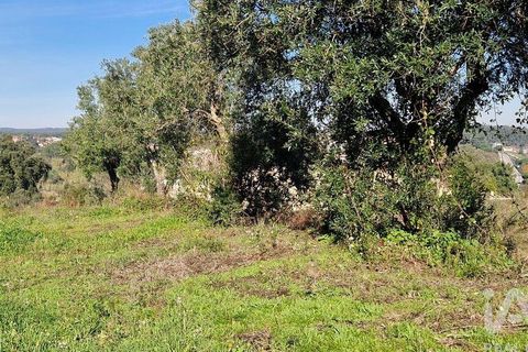 Tomt i Batalha, Leiria, Batalha - € 82 000 | Ref: 763059 - foto 19