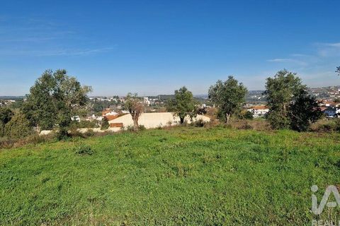 Tomt i Batalha, Leiria, Batalha - € 82 000 | Ref: 763059 - foto 22