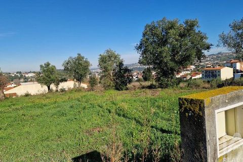 Tomt i Batalha, Leiria, Batalha - € 82 000 | Ref: 763059 - foto 23