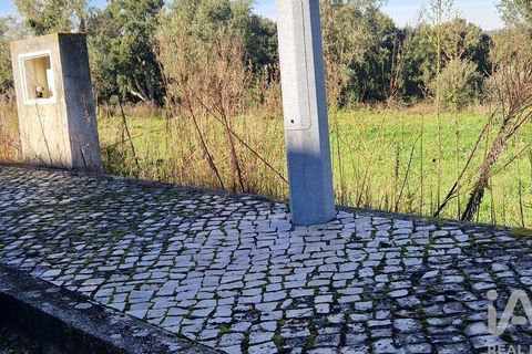Tomt i Batalha, Leiria, Batalha - € 82 000 | Ref: 763059 - foto 24