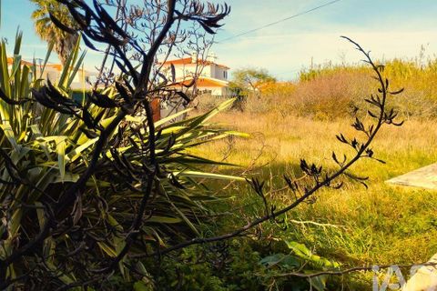 Byhus i Sintra, Lisbon, Sintra - € 420.000 | Ref: 721897 - foto 27