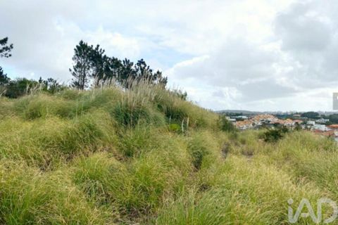Grond in Sintra, Lisbon, Sintra - € 2.900.000 | Ref: 763208 - foto 4
