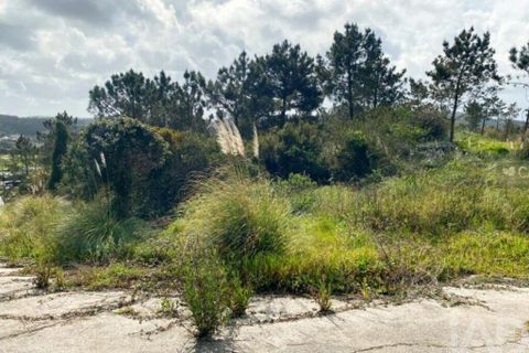 Grond in Sintra, Lisbon, Sintra - € 2.900.000 | Ref: 763208 - foto 5