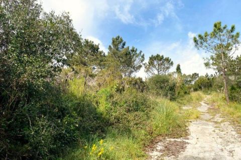 Grond in Sintra, Lisbon, Sintra - € 2.900.000 | Ref: 763208 - foto 7