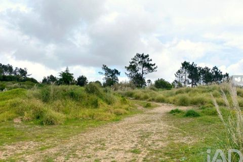 Grond in Sintra, Lisbon, Sintra - € 2.900.000 | Ref: 763208 - foto 8