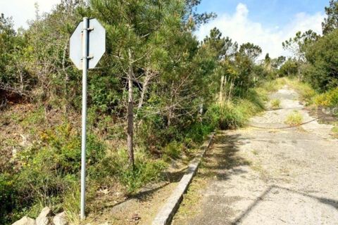 Grond in Sintra, Lisbon, Sintra - € 2.900.000 | Ref: 763208 - foto 9