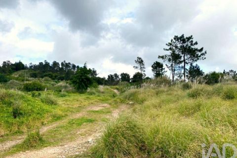 Grond in Sintra, Lisbon, Sintra - € 2.900.000 | Ref: 763208 - foto 10