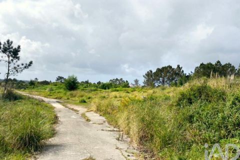 Grond in Sintra, Lisbon, Sintra - € 2.900.000 | Ref: 763208 - foto 13