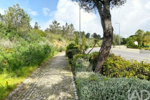 Grond in Sintra, Lisbon, Sintra - € 2.900.000 | Ref: 763208 - foto 16