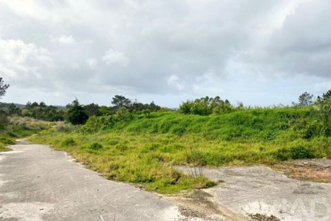 Grond in Sintra, Lisbon, Sintra - € 2.900.000 | Ref: 763208 - foto 17