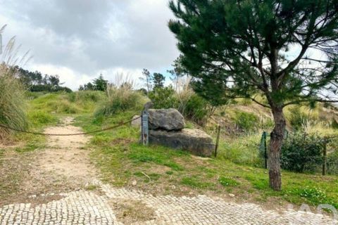 Grond in Sintra, Lisbon, Sintra - € 2.900.000 | Ref: 763208 - foto 18