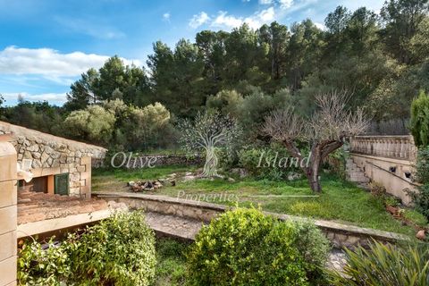 Villa i Alaro, Mallorca, Alaro - € 980.000 | Ref: ALR596 - foto 21