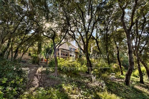 Villa i Alaro, Mallorca, Alaro - € 980.000 | Ref: ALR596 - foto 25