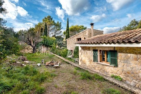 Villa i Alaro, Mallorca, Alaro - € 980.000 | Ref: ALR596 - foto 26
