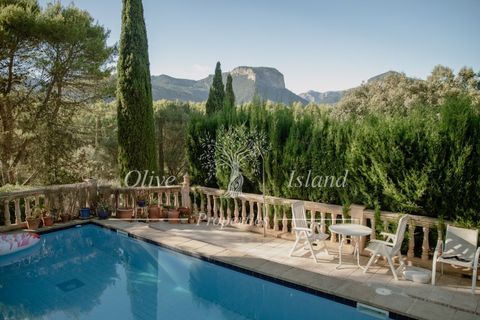 Villa i Alaro, Mallorca, Alaro - € 980.000 | Ref: ALR596 - foto 30