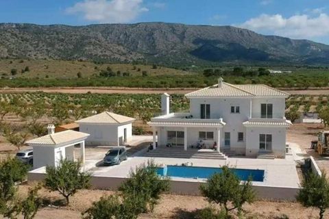 Villa i Pinoso, Alicante, Pinoso - € 491.000 | Ref: 749945 - foto 2