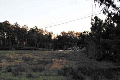 Grond in Eixo e Eirol, Aveiro, Eixo e Eirol - € 110.000 | Ref: ZS_2816 (2) - foto 7