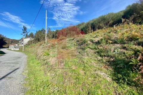 Helårsgrund i Vila Verde, Braga, Vila Verde - € 29.000 | Ref: 08743 - foto 2